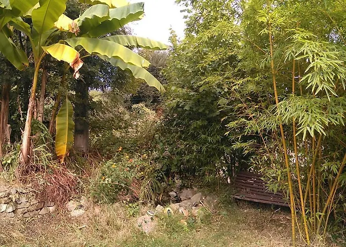 El Cuetu Gospodarstwo wiejskie